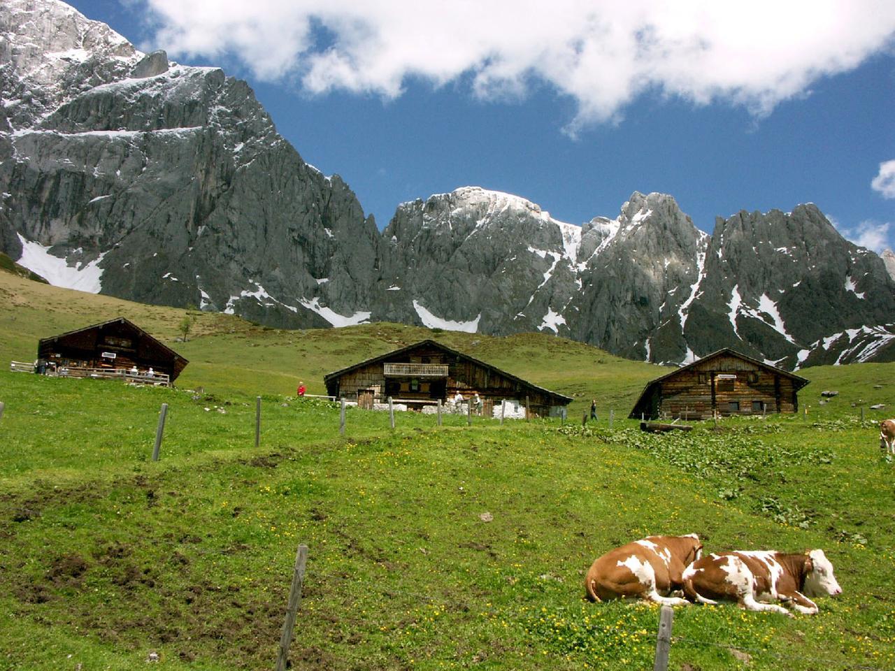 Solch eine blühende Alm soll es früher unter den heutigen Gletschern der "Übergossenen Alm" gegeben haben! 