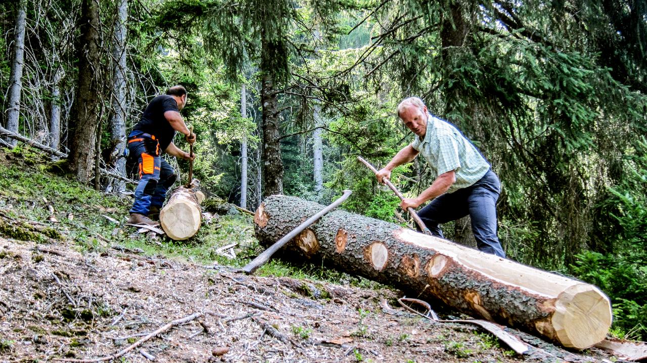 Zwei Waldarbeiter bearbeiten Baumstämme
