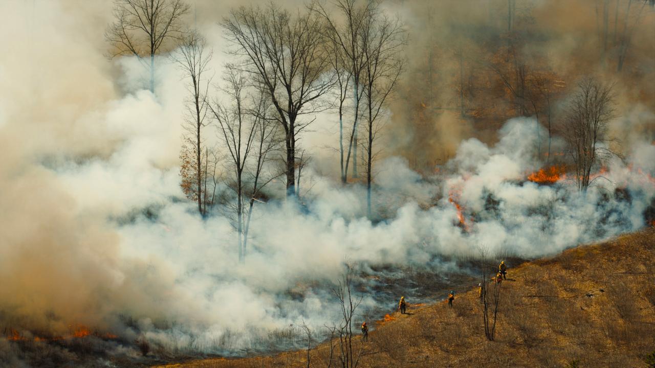 Feuer in einem Waldgebiet, am Rand stehen Feuerwehrleute zur Kontrolle des bewusst gelegten Brandes