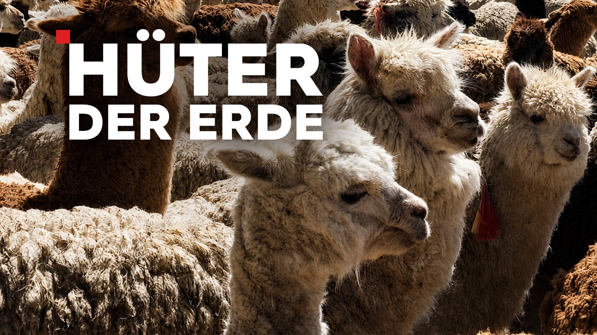 Hüter der Erde Sendetypical