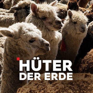 Hüter der Erde Sendetypical
