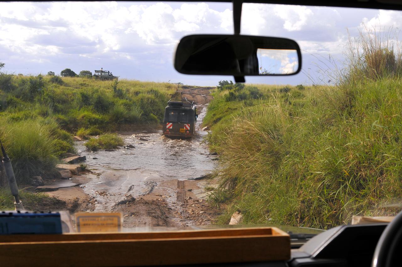 hyaeneforscher fahren in safari bussen durch pfuetzen