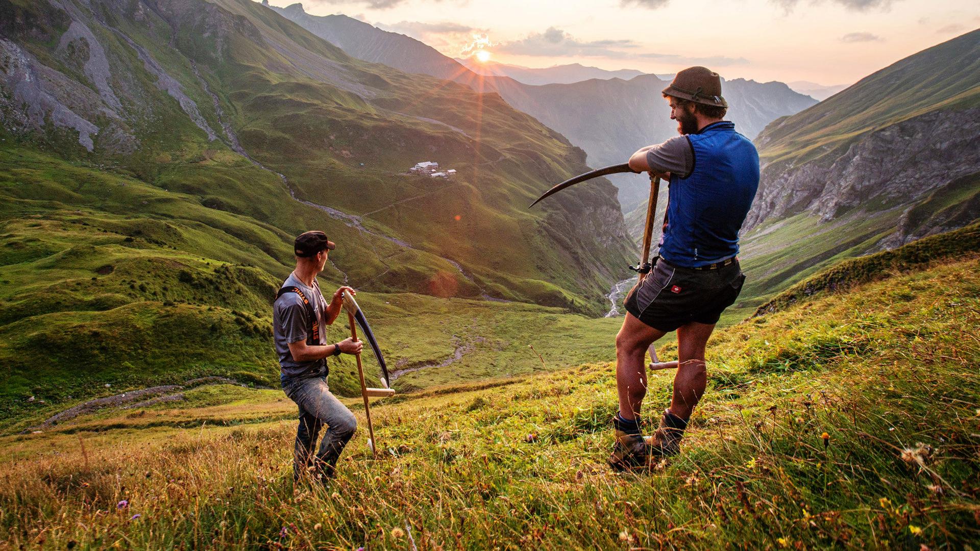 "Im Berg dahuim": Zwei Personen beim Wildheuen in einer Berglandschaft