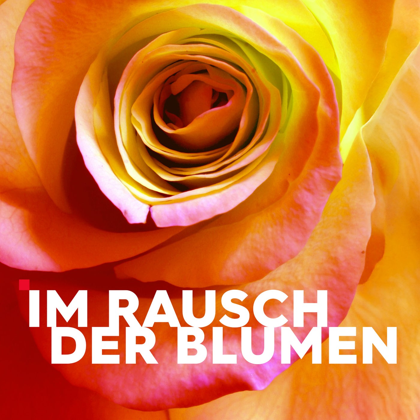 Im Rausch der Blumen – Teaser mit Schriftzug