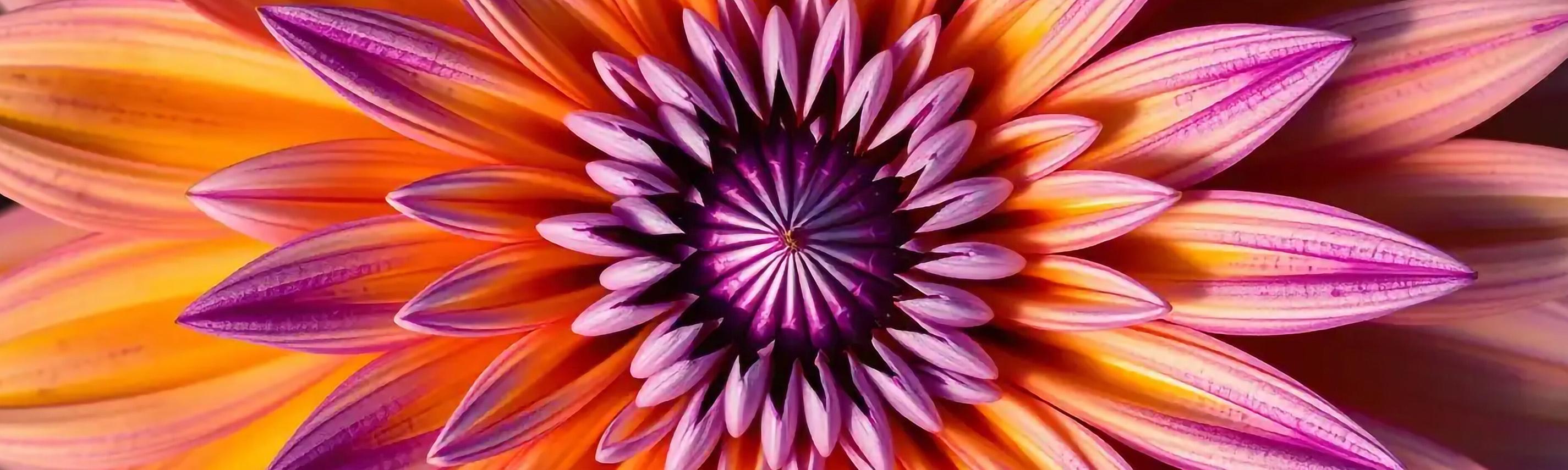 Im Rausch der Blumen – Hintergrund Sendebereich