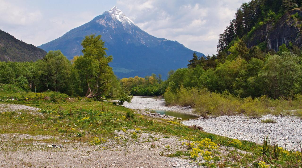 Rückbaugebiet Milser Au (Tirol)