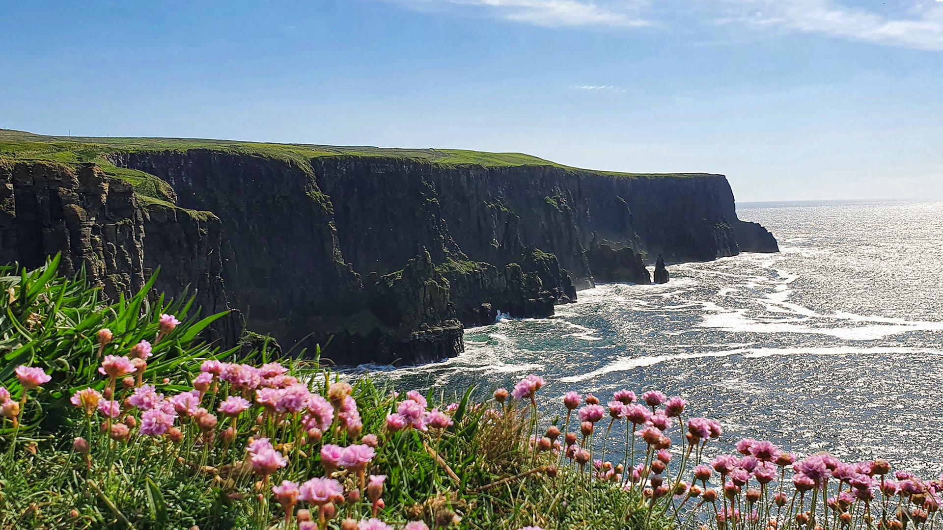 Blick auf ein wilde Meeresbucht von einer blühenden Anhöhe