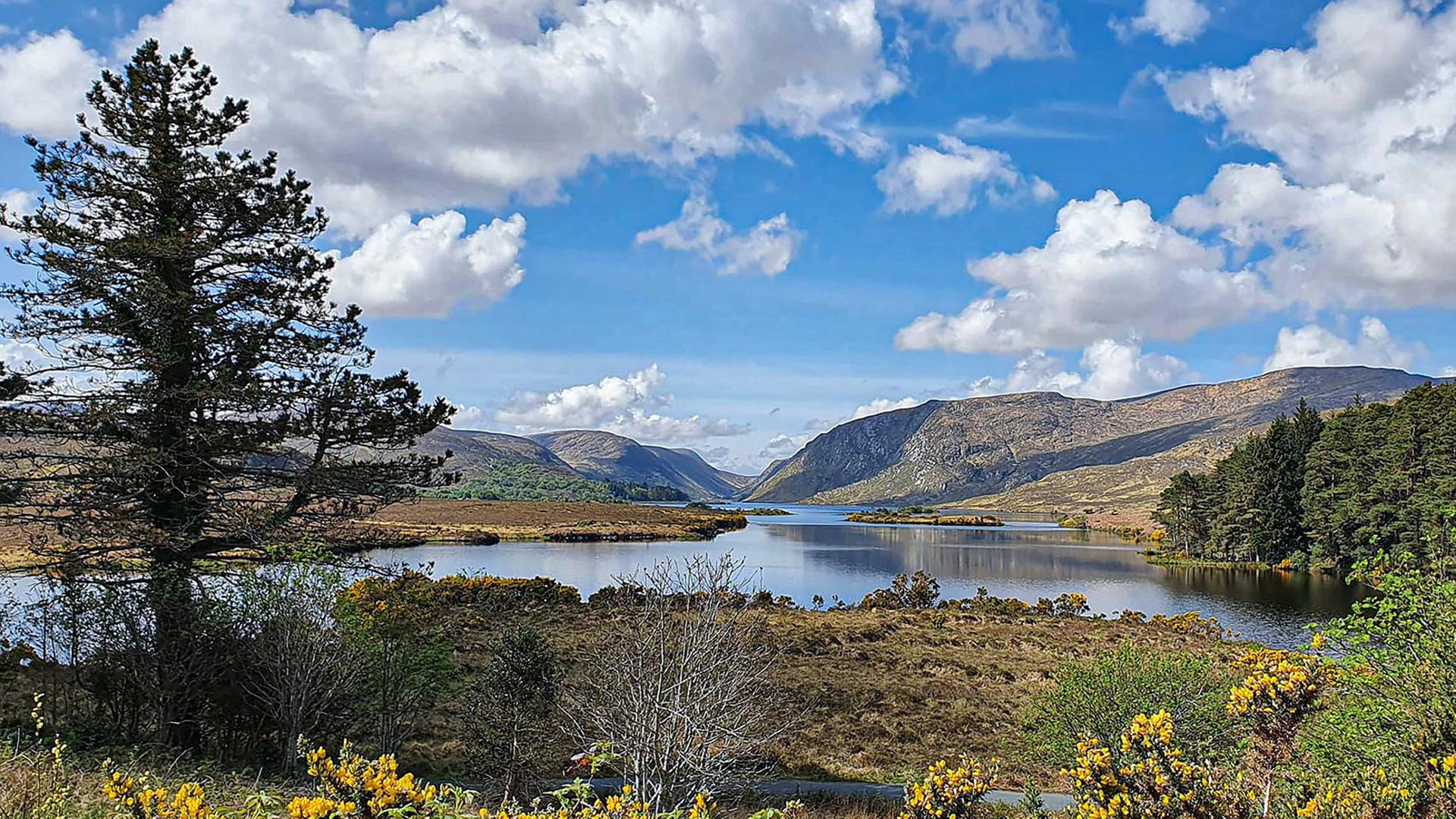 Flussdelta in herbstlicher Landschaft