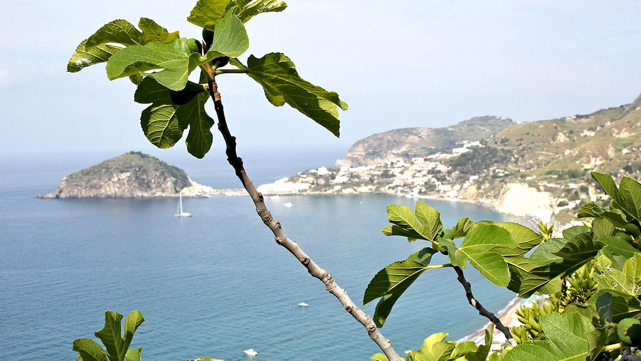 Standbild: Ischia, da will ich hin!