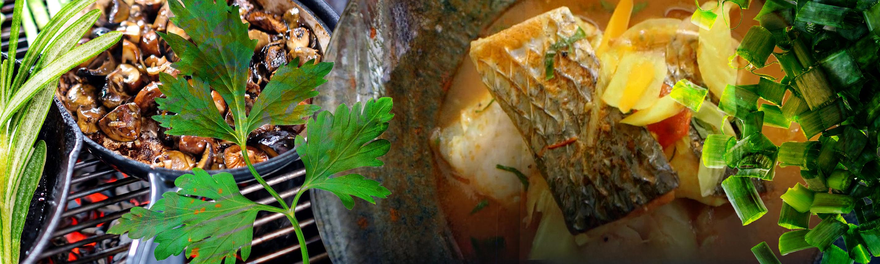 Iss besser! Hintergrund Sendebereich