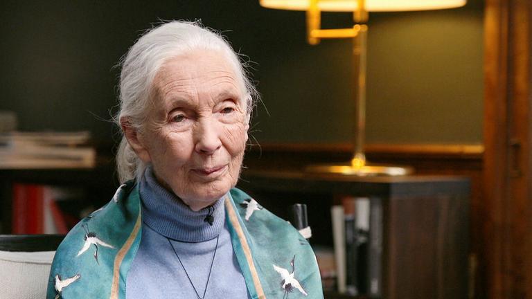 Jane Goodall – Ein Leben für die Schimpansen