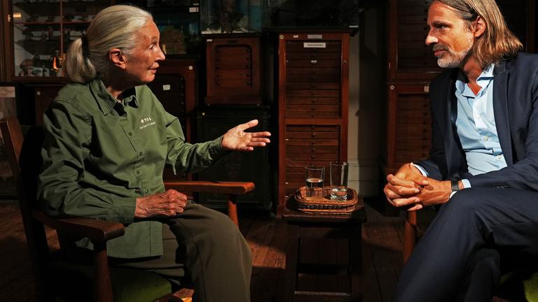 Precht: Das Herrentier: Herkunft und Zukunft der Menschheit Richard David Precht im Gespräch mit Jane Goodall