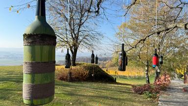 Das Bild zeigt eine ländliche Weinanbauumgebung in Slowenien, wahrscheinlich in der Region Jeruzalem. Im Vordergrund hängt eine große grüne Weinflasche, die teilweise bemalt und mit einem Faden umwickelt ist. Im Hintergrund und an den Ästen eines Baumes hängen mehrere weitere Weinflaschen in verschiedenen Farben, darunter schwarz, rot und blau. Die Flaschen sind gleichmäßig zwischen den Zweigen angeordnet und schwingen sanft im Wind.  Die Umgebung ist von sanften Hügeln und Weinreben umgeben. Der Himmel ist klar und blau, mit wenigen Wolken. In der Ferne sind weitere Weinreben sichtbar, die sich über die Hügel erstrecken. Der Boden ist grün und gepflegt, und der Weg ist gepflastert, der eine ruhige, ländliche Atmosphäre schafft.  Insgesamt vermittelt das Bild eine harmonische Verbindung zwischen Natur und Weinbau, die typisch für diese Region ist.
