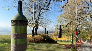 Das Bild zeigt eine ländliche Weinanbauumgebung in Slowenien, wahrscheinlich in der Region Jeruzalem. Im Vordergrund hängt eine große grüne Weinflasche, die teilweise bemalt und mit einem Faden umwickelt ist. Im Hintergrund und an den Ästen eines Baumes hängen mehrere weitere Weinflaschen in verschiedenen Farben, darunter schwarz, rot und blau. Die Flaschen sind gleichmäßig zwischen den Zweigen angeordnet und schwingen sanft im Wind.  Die Umgebung ist von sanften Hügeln und Weinreben umgeben. Der Himmel ist klar und blau, mit wenigen Wolken. In der Ferne sind weitere Weinreben sichtbar, die sich über die Hügel erstrecken. Der Boden ist grün und gepflegt, und der Weg ist gepflastert, der eine ruhige, ländliche Atmosphäre schafft.  Insgesamt vermittelt das Bild eine harmonische Verbindung zwischen Natur und Weinbau, die typisch für diese Region ist.