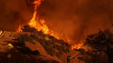  Los Angeles: Ein Feuerwehrmann bekämpft das Palisades-Feuer im Mandeville Canyon. 