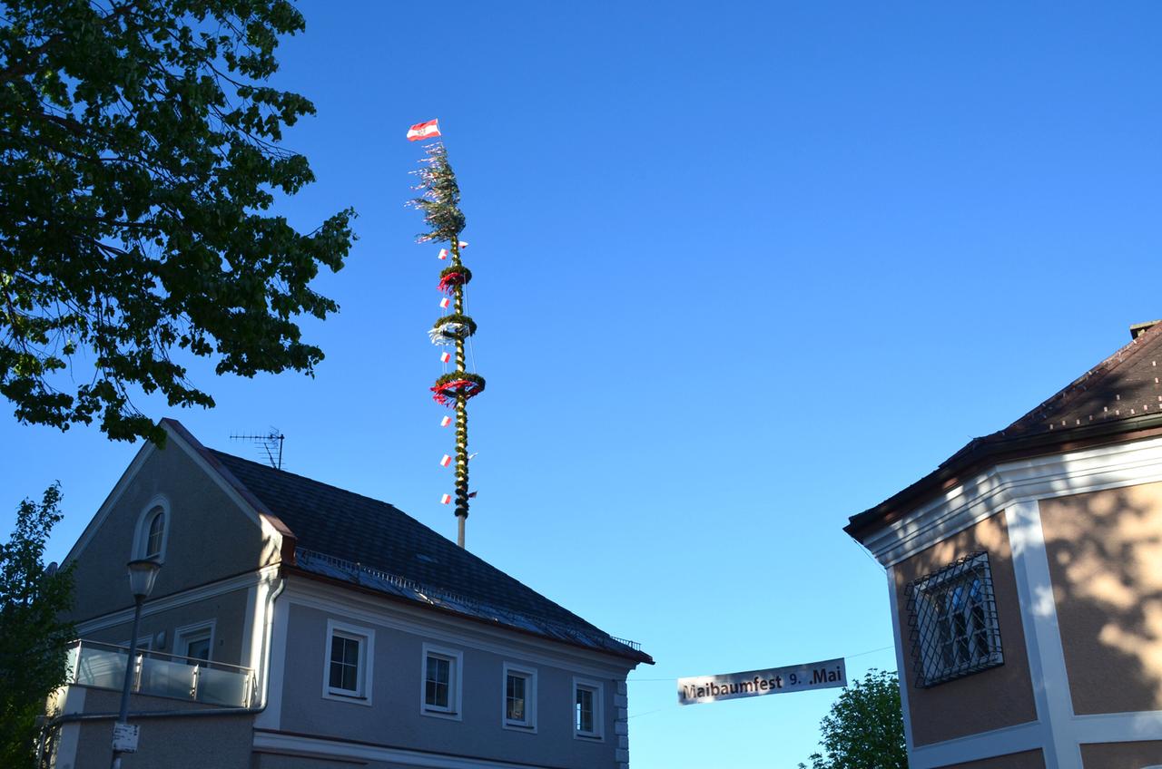 Maibaum