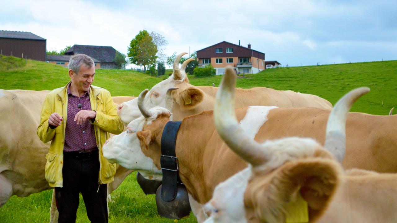 Kaminer Inside: Schweiz - 3sat-Mediathek