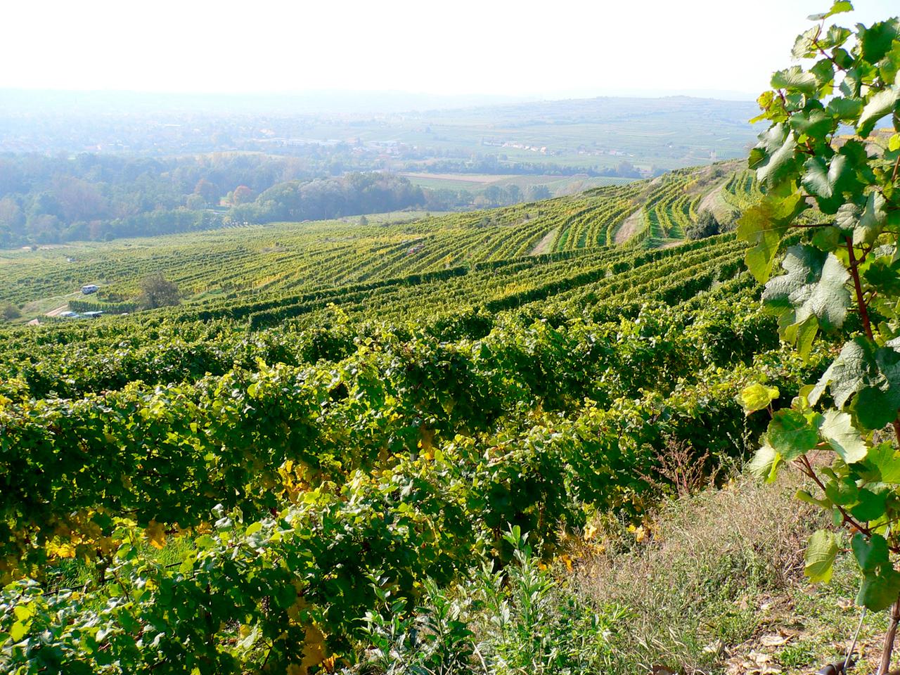 Fluss im Wandel der Jahreszeiten