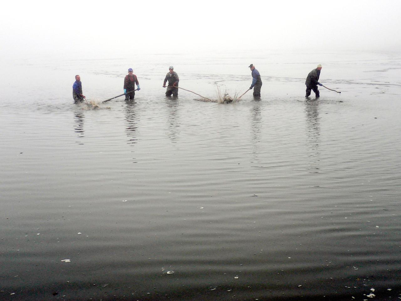 Fluss im Wandel der Jahreszeiten