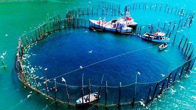 Holzpfosten, auf die Netze gespannt sind, stecken im tiefblauen Meer, vereinzelte Fischerboote. 