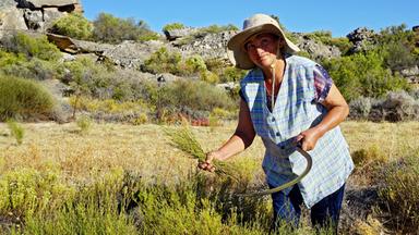 Eine Frau steht in einem Feld, in einer Hand eine große Handsichel, in der anderen ein Büschel Zweige.
