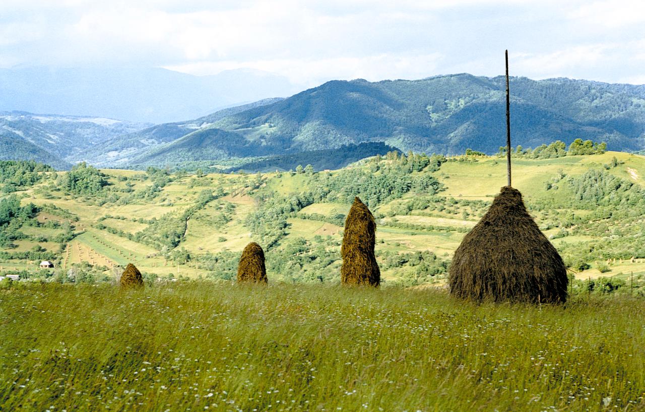 Heuhaufen auf einer Anhöhe