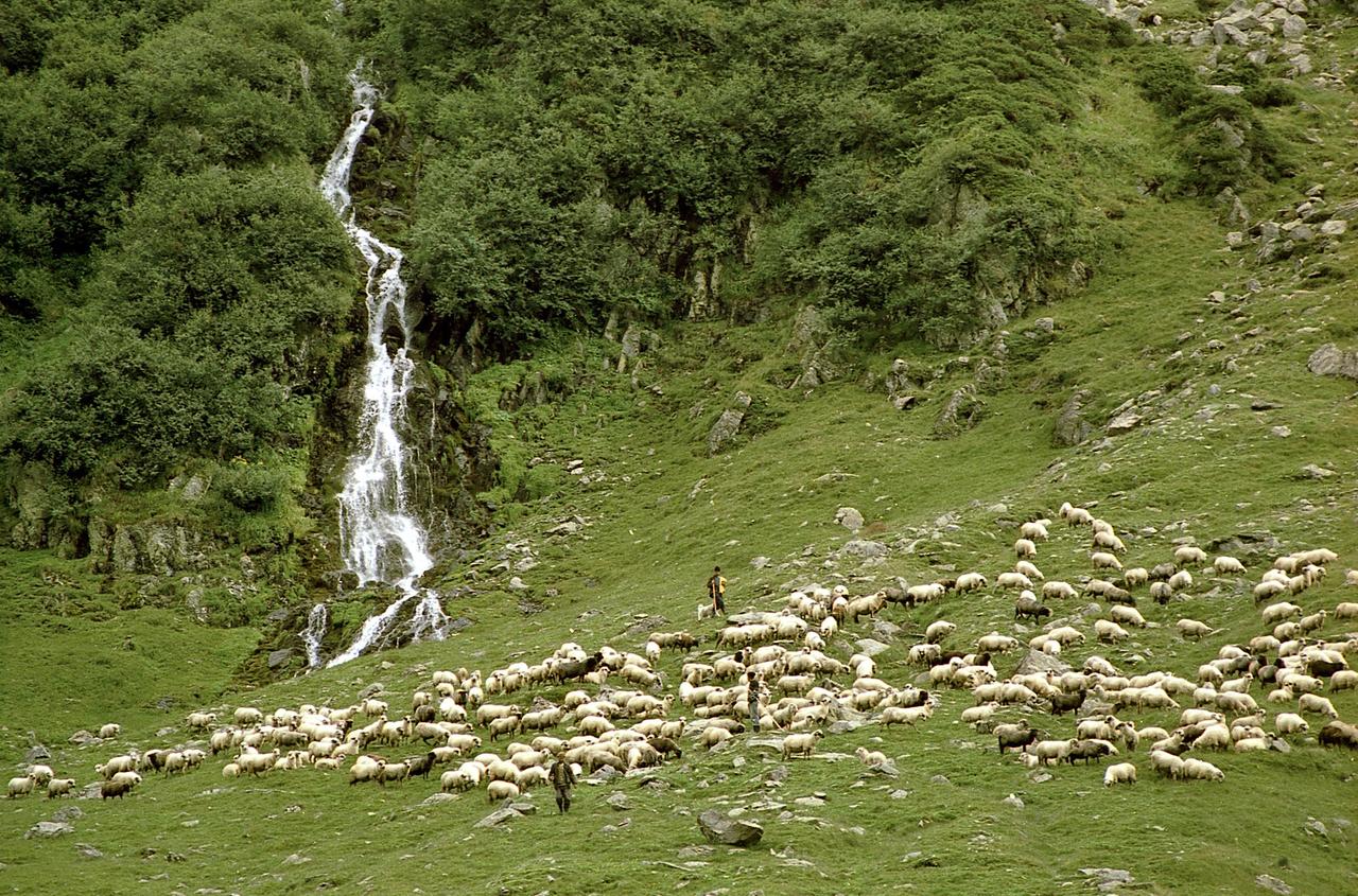 Blick auf eine Ebene mit Quelle