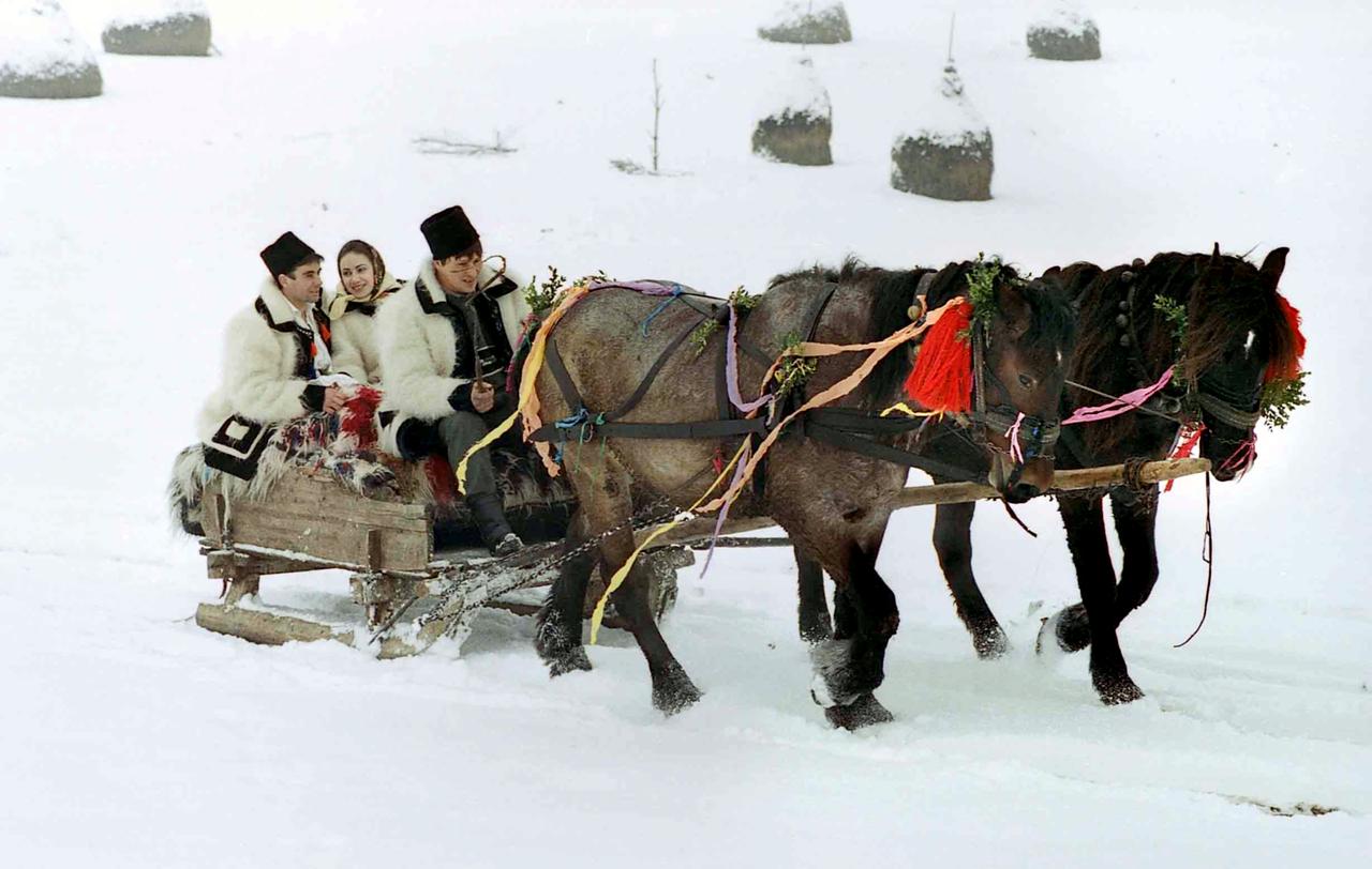 Paar im Pferdeschlitten.