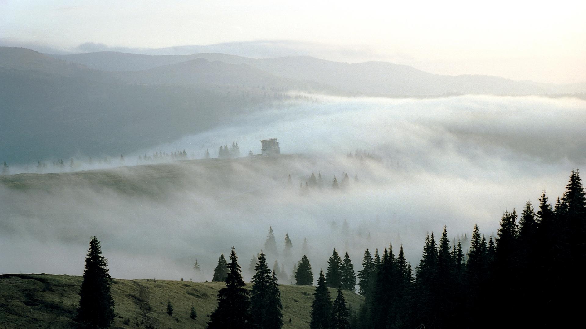 Karpaten Leben In Draculas Waldern 3sat Mediathek
