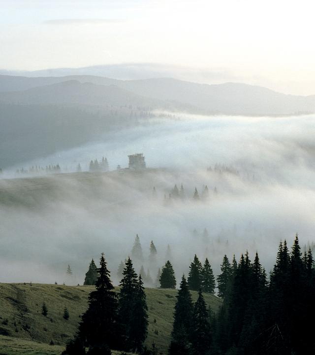 Blick in ein nebelverhangenes Tal