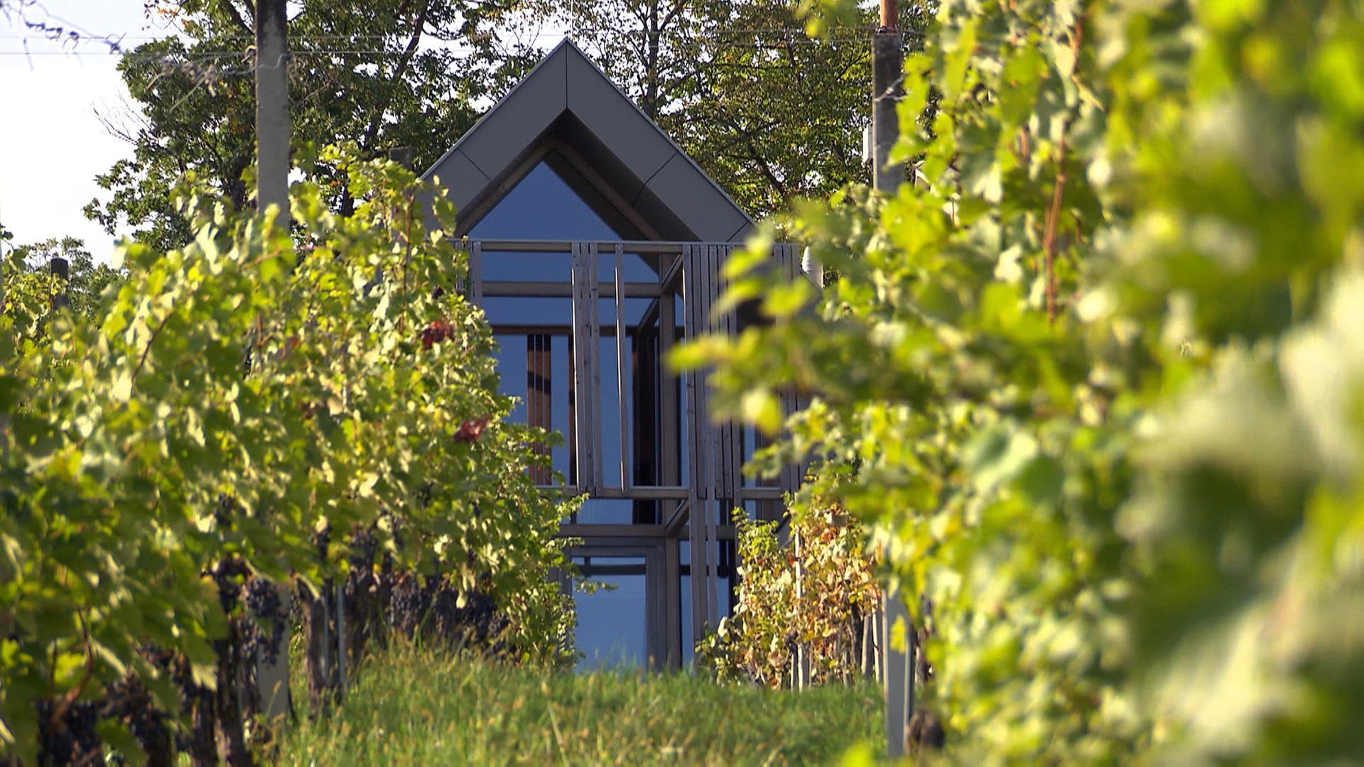 Kellerstöckl inmitten von Weinbergen im Burgenland