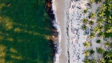 Grünlich schimmerndes Meerwasser brandet an einen weißen, mit Palmen bewachsenen Sandstrand