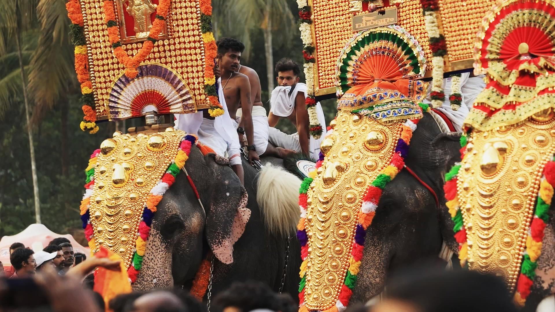 Farbenfrohe Elefantenparade: Das Thrissur Puram-Fest steht ganz im Zeichen der Dickhäuter.