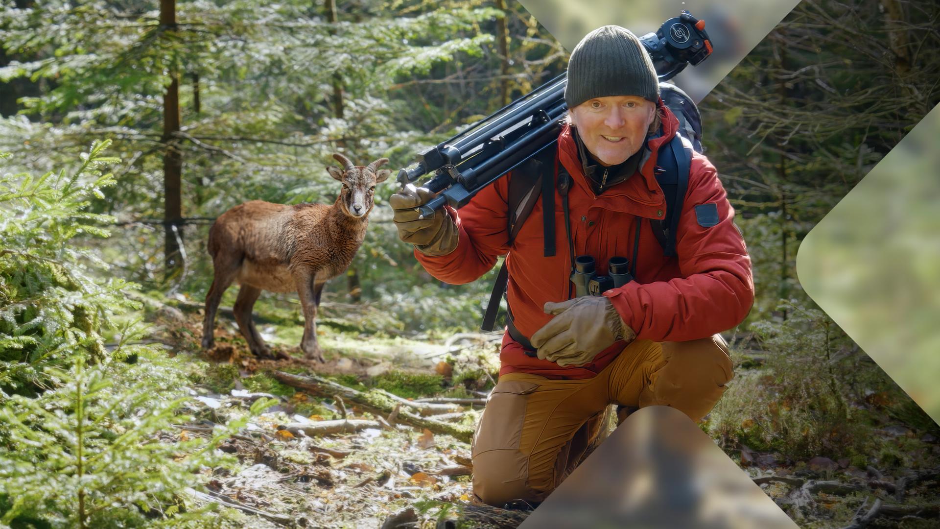 Tierfilmer Andreas Kieling mit Gams (Montage)