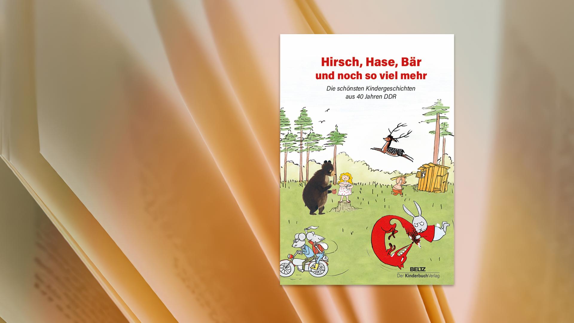 Auf dem Umschlag des Kinderbuchs sehen wir die Illustration eines Waldes. Ein Bär spricht mit einem Mädchen, Mäuse fahren auf einem Motorrad, ein Fuchs und ein Hase streiten, ein Hirsch springt und ein Schwein baut eine Holzhütte.
