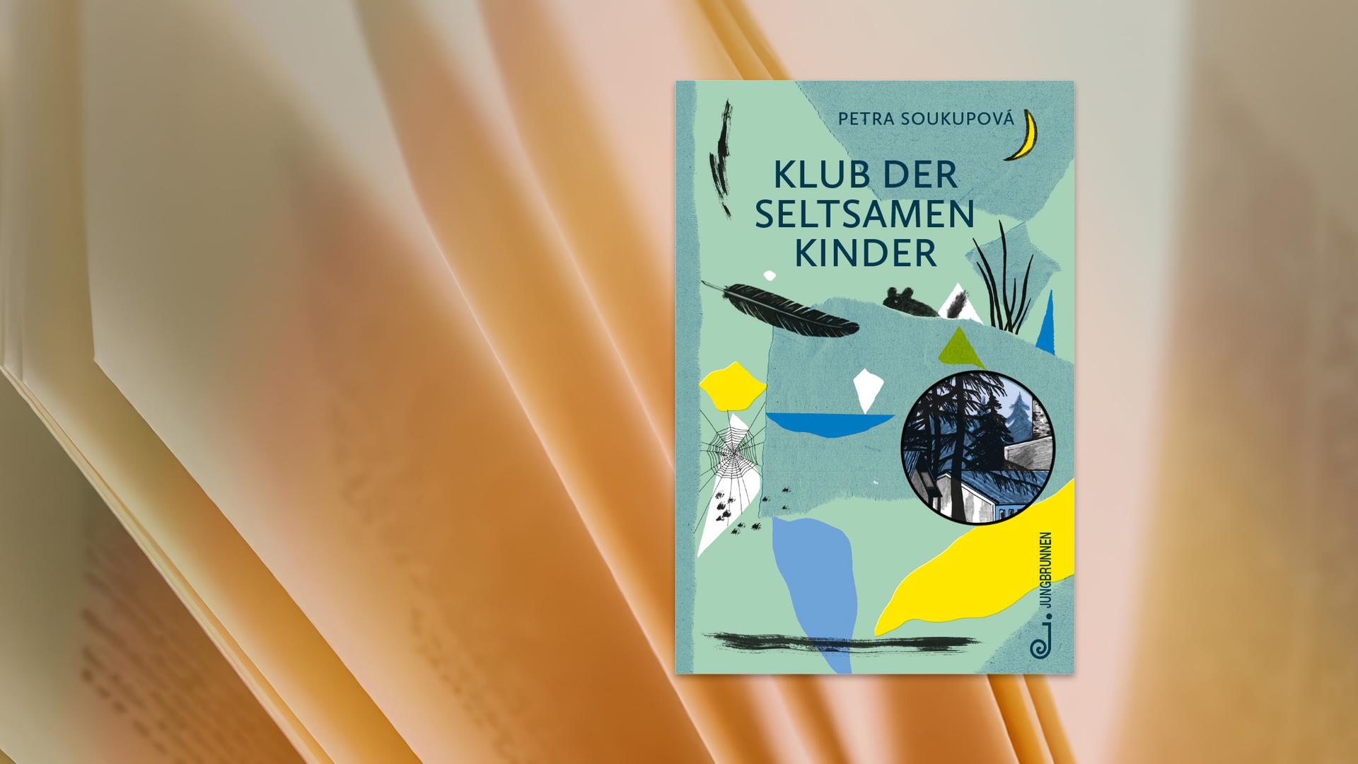 Auf dem Cover des Kinderbuches sieht man die Illustration einer Feder, eines Spinnennetzes, farbige Papierschnipsel und eine Hütte im Wald, auf türkisfarbenem Hintergrund.