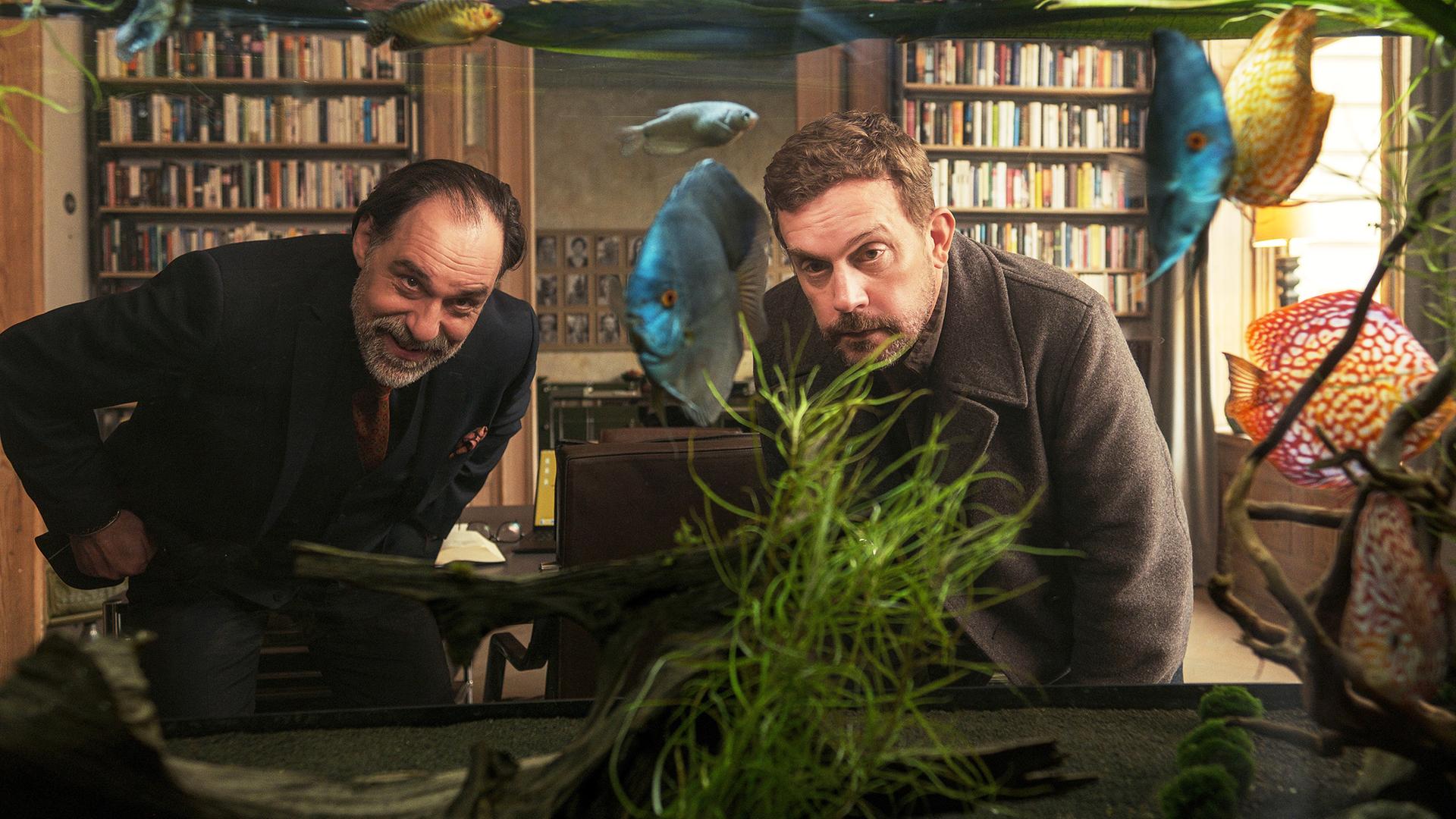 Zwei Männer stehen in einem Raum vor einem Aquarium und schauen den Fischen beim Schwimmen zu.