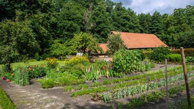 Blick auf den Klostergarten: Ein kleines Haus, Blumen, Kräuter, Kohl und Salat.