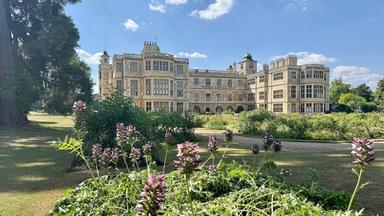 Das Bild zeigt das Audley End House, einen der bedeutendsten Landsitze Englands. Die Architektur des Hauses ist im neoklassizistischen Stil gehalten und umfasst zahlreiche Fenster, die von hellen Steinmauern umgeben sind. Der Vordergrund des Bildes ist mit üppigem, grünem Pflanzenbewuchs sowie lila blühenden Pflanzen bevölkert.   Im Hintergrund sieht man das großflächige Gebäude, das sich harmonisch in die umgebende Gartenlandschaft einfügt. Über dem Haus ist ein klarer, blauer Himmel mit einigen wenigen weißen Wolken sichtbar. Die Szenerie vermittelt ein Gefühl von Ruhe und historischen Charme, umgeben von weitläufigen Grünflächen und Bäumen.