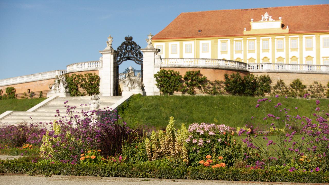Das Bild zeigt die königlichen Gärten von Schloss Hof. Im Vordergrund sind bunte Blumenbeete mit verschiedenen Pflanzen, darunter lila, orange und gelbe Blumen zu sehen. Hinter den Blumenbeeten erhebt sich eine grüne Rasenfläche. Anschließend führen eine große Treppe und ein kunstvoll gestaltetes Tor zu einem imposanten Gebäude. Das Schloss im Hintergrund hat eine gelbe Fassade, große Fenster und ein rotes, schräges Dach. Es hat auch eine Veranda mit einer Balustrade. Der Himmel ist blau und klar, was auf einen sonnigen Tag hinweist.