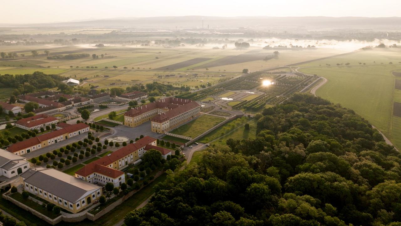 Das Bild zeigt eine weitläufige Ansicht des Schloss Hof, das in der Marchfeld-Region liegt. Im Vordergrund sind mehrere Gebäude mit rot gedeckten Dächern und hellen Fassaden zu sehen. Diese sind von gepflegten Gärten und Wegen umgeben. Die Gärten sind geometrisch angelegt und enthalten kleine Beete sowie Bäume in Reihen.  Im Hintergrund erstrecken sich weitläufige Felder, die in verschiedenen Grüntönen gehalten sind. Es gibt auch einige Bäume und eine leicht neblige Atmosphäre, die dem Bild eine ruhige Stimmung verleiht. Eine Straße führt durch die Landschaft, die vom Licht der Morgensonne beleuchtet wird. Der ganze Bereich vermittelt den Eindruck eines historischen und gepflegten Grundstücks, das von Natur umgeben ist.