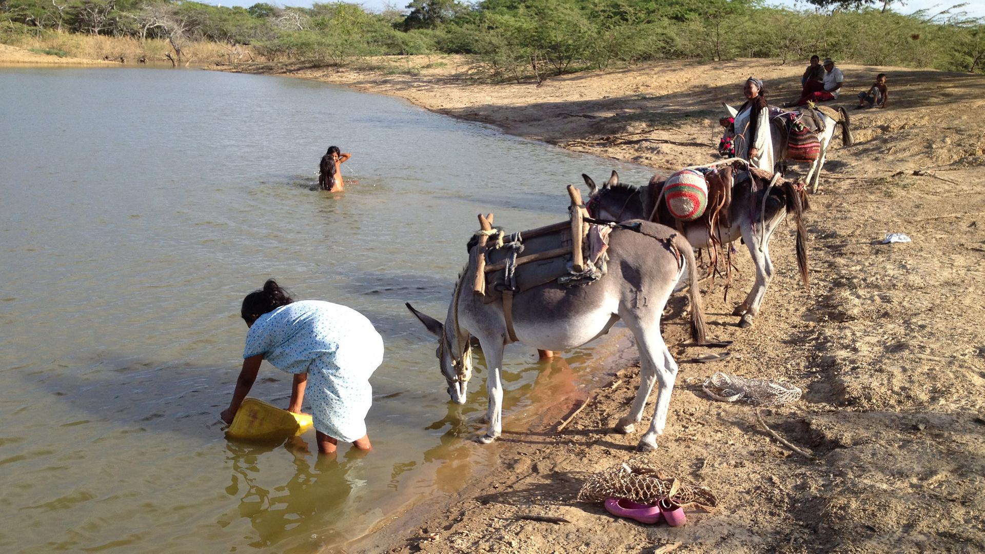 Mehrere Frauen und Esel stehen an einem See