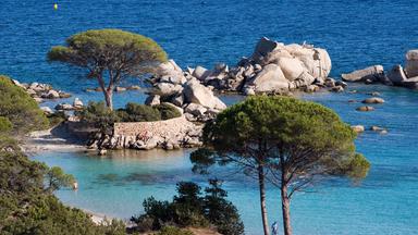 Küstenabschnitt mit türkisfarbenem Wasser, markanten Felsformationen und zwei großen, schirmförmigen Pinien im Vordergrund, dahinter das tiefblaue Meer.