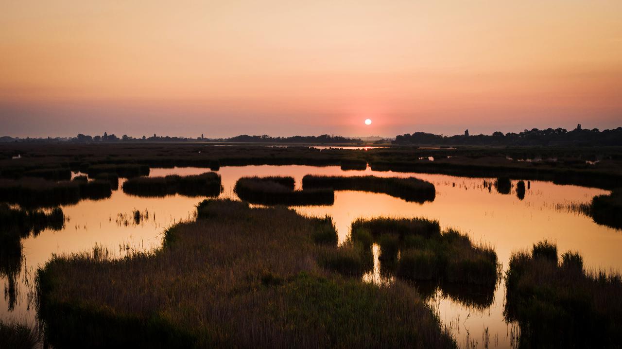 Neusiedlersee (Burgenland)