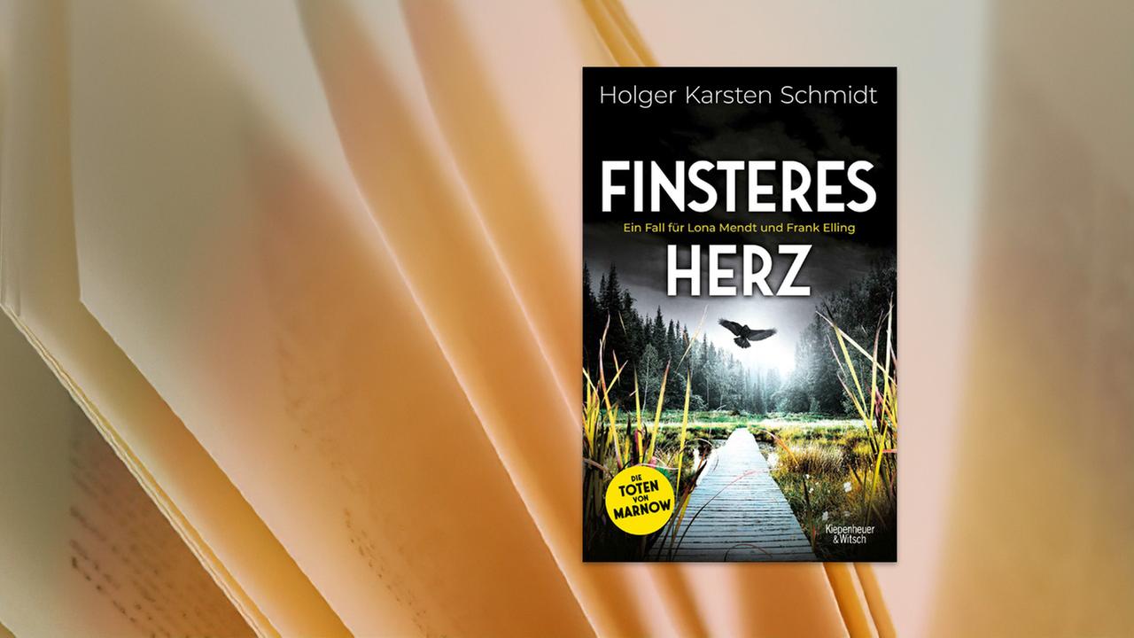 Auf dem Buchumschlag ist ein düsteres Bild von einem Steg zu sehen, der hinaus auf einen Teich führt. Darüber fliegt ein Vogel.