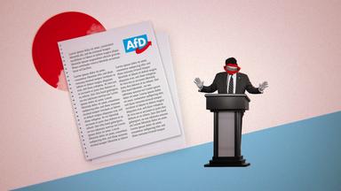 Kultur-TÜV: Grafik zum Kulturpolitik-Check der AFD