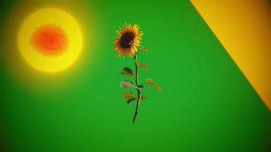 Kultur-TÜV: Grafik zum Kulturpolitik-Check der Grünen