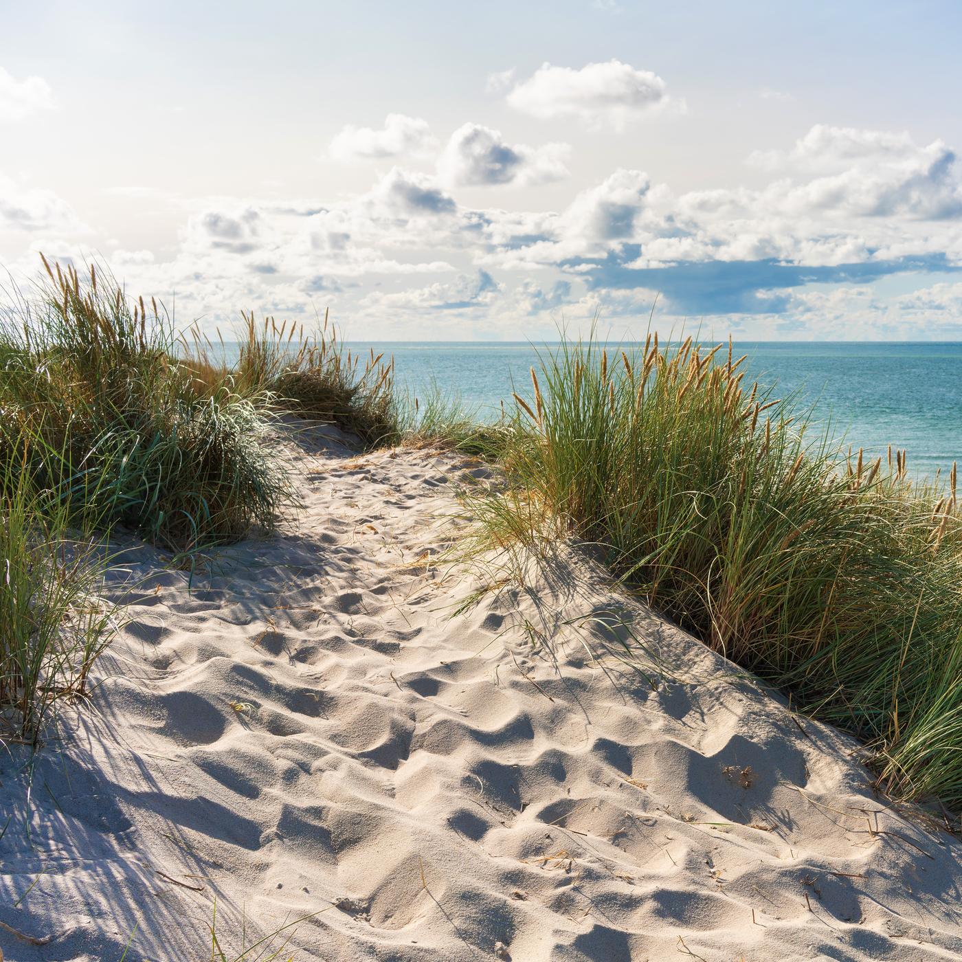 Ansicht eines Sandstrands mit Gras am Meer.