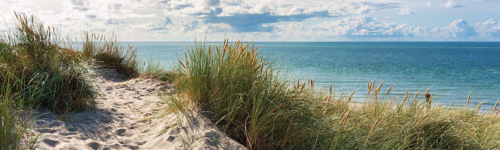 Ansicht eines Sandstrands mit Gras am Meer.