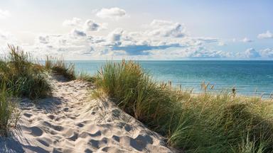 Ansicht eines Sandstrands mit Gras am Meer.